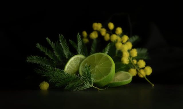 La Festa della Donna: Il Significato di Regalare le Mimose