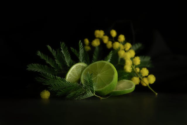 La Festa della Donna: Il Significato di Regalare le Mimose