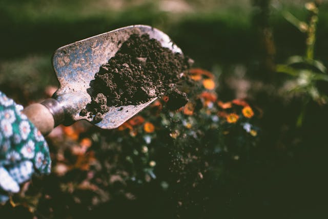 10 preziosi consigli di giardinaggio per mantenere il tuo spazio verde splendente