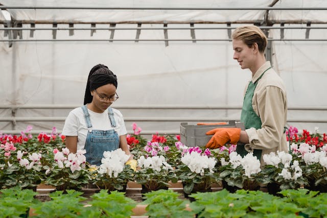 Giardinieri in Affitto: Servizio Professionale per il Tuo Giardino