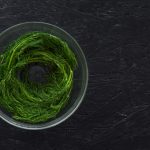 Spirulina un'analisi approfondita sui suoi benefici