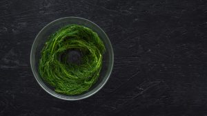 Spirulina un'analisi approfondita sui suoi benefici