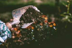 Cosa significa fare giardinaggio?